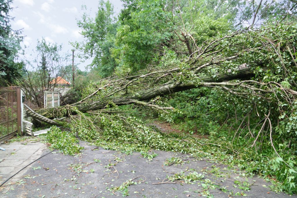 storm-damage-restoration-davidsonville-md