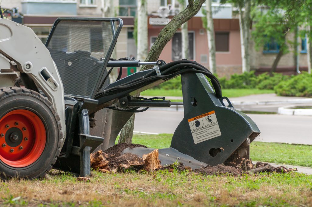 stump-removal-davidsonville-md